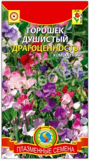 Душистый горошек Драгоценность