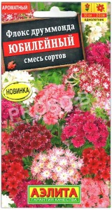 Флокс друммонда Юбилейный, смесь