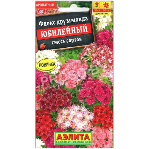 Флокс друммонда Юбилейный, смесь