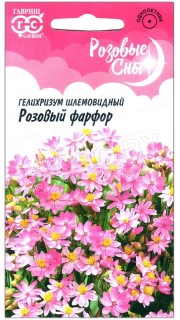 Гелихризум шлемовидный Розовый фарфор