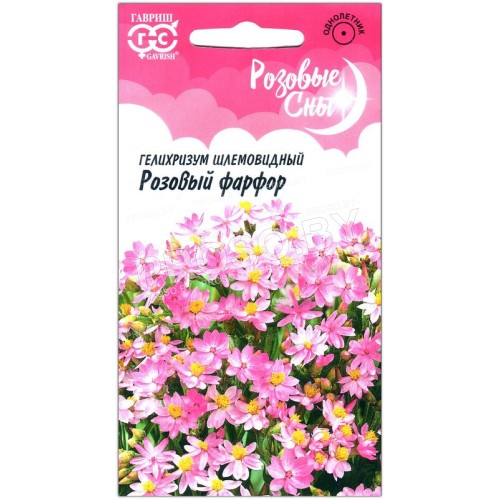 Гелихризум шлемовидный Розовый фарфор