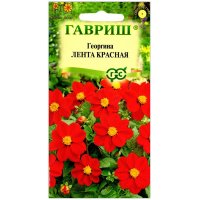 Георгина Лента красная