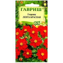 Георгина Лента красная