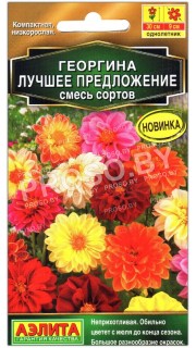 Георгина Лучшее предложение, смесь