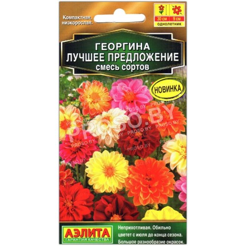 Георгина Лучшее предложение, смесь