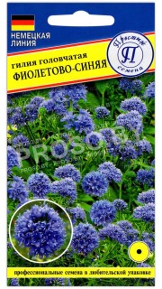 Гилия головчатая Фиолетово-синяя (Престиж семена)