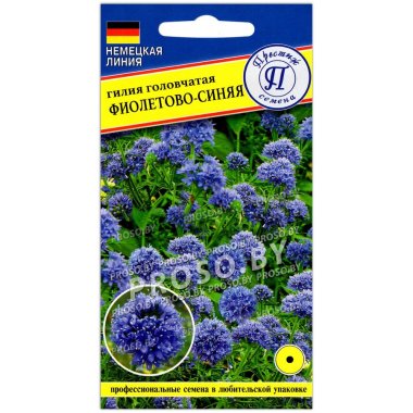 Гилия головчатая Фиолетово-синяя (Престиж семена)