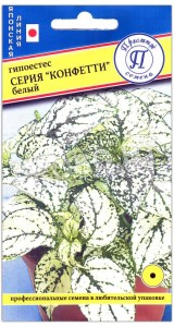 Гипоэстес Белый, серия Конфетти