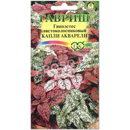 Гипоэстес Капли акварели
