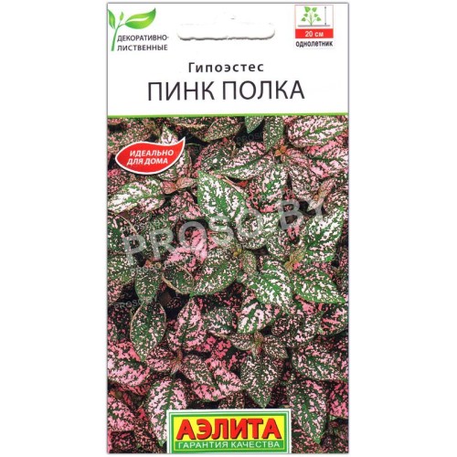 Гипоэстес Пинк полка