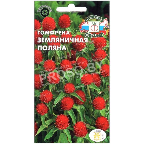 Гомфрена Земляничная поляна-1