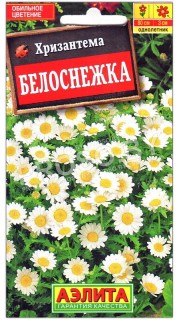 Хризантема Белоснежка