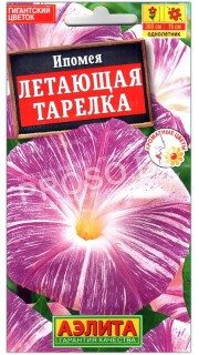 Ипомея Летающая тарелка