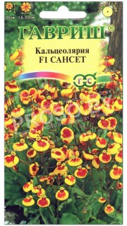 Кальцеолярия Сансет F1