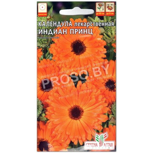 Календула Индиан принц