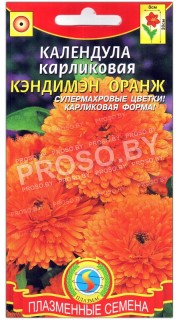 Календула карликовая Кэндимэн оранж