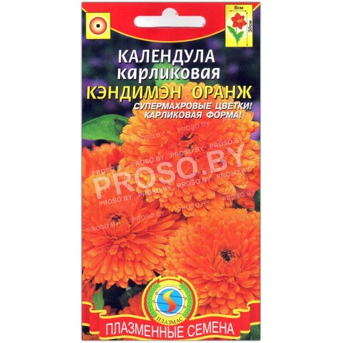 Календула карликовая Кэндимэн оранж
