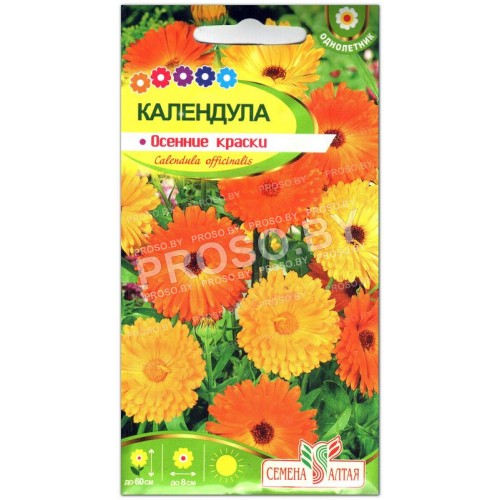 Календула Осенние краски