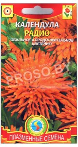 Календула Радио