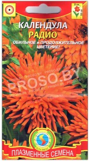 Календула Радио