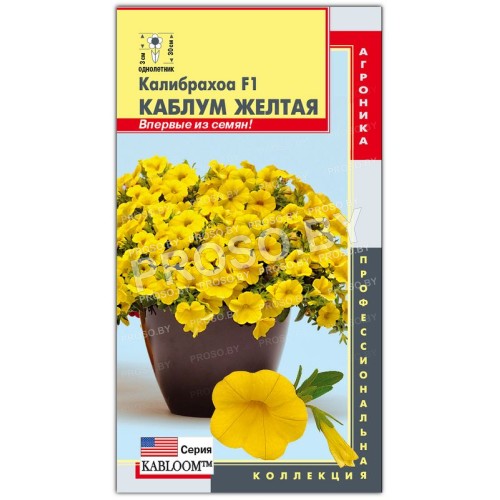 Калибрахоа Каблум желтая F1