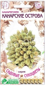 Канареечник Канарские острова