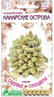 Канареечник Канарские острова