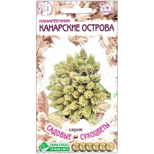 Канареечник Канарские острова