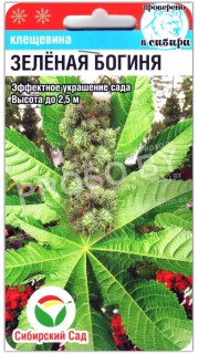 Клещевина Зеленая богиня