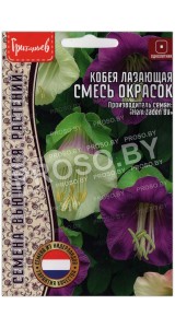 Кобея лазающая Смесь (микс)