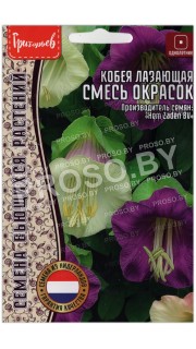 Кобея лазающая Смесь (микс)