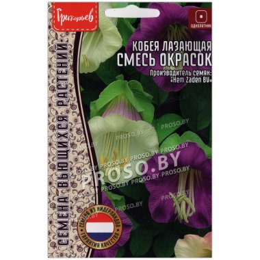 Кобея лазающая Смесь (микс)