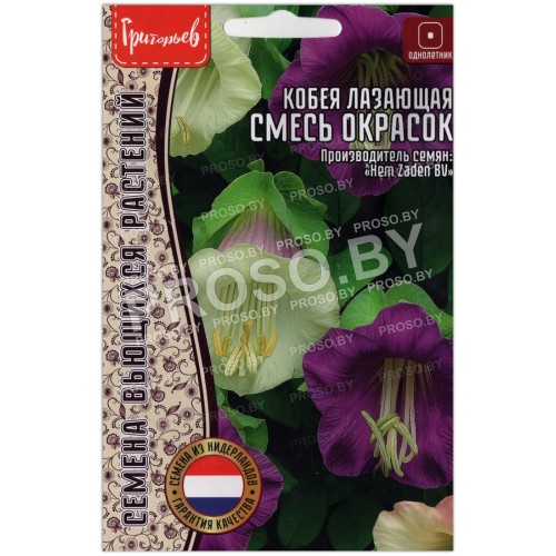 Кобея лазающая Смесь (микс)