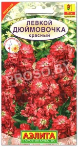 Левкой Дюймовочка, красный карликовый