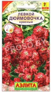 Левкой Дюймовочка, красный карликовый