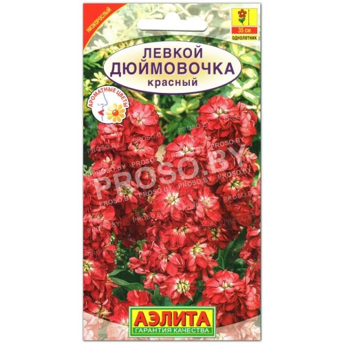 Левкой Дюймовочка, красный карликовый