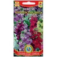 Левкой Королевская смесь
