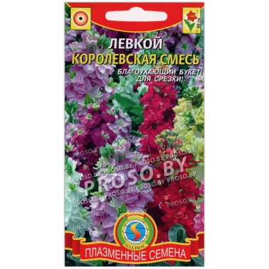 Левкой Королевская смесь