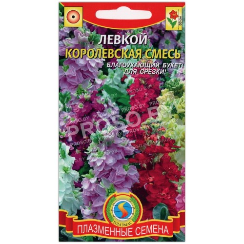 Левкой Королевская смесь