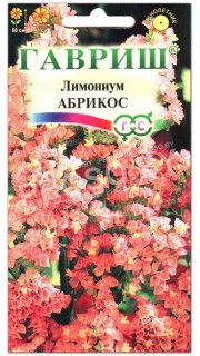 Лимониум Абрикос
