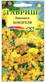 Лимониум (кермек) Бондуели