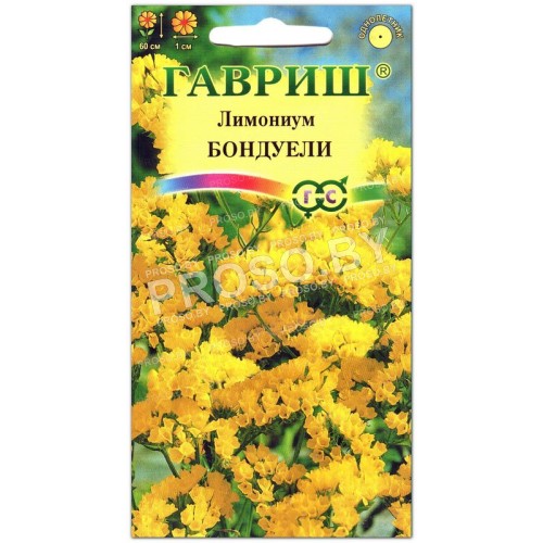 Лимониум (кермек) Бондуели