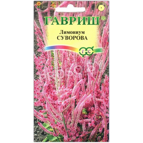 Лимониум Суворова