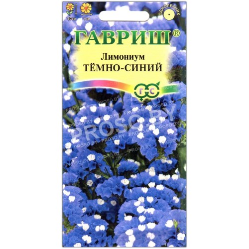 Лимониум Темно-синий
