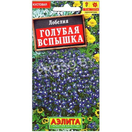 Лобелия Голубая вспышка
