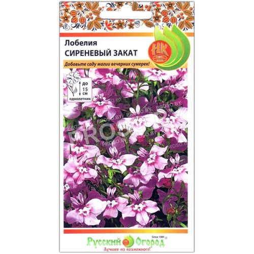 Лобелия Сиреневый закат
