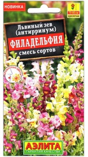 Львиный зев Филадельфия, смесь