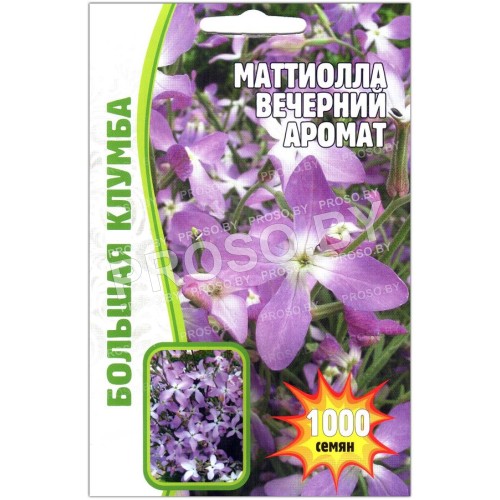 Маттиола Вечерний аромат
