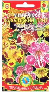 Мимулюс Королевский приз