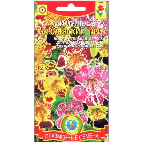 Мимулюс Королевский приз